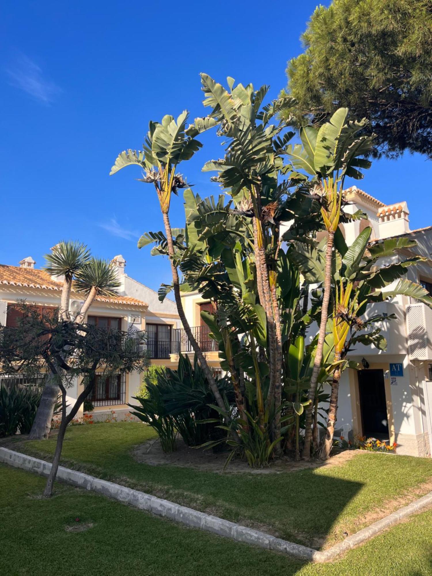 Playas de Vera Apartamento Esquina Verde En Vera Coast מראה חיצוני תמונה
