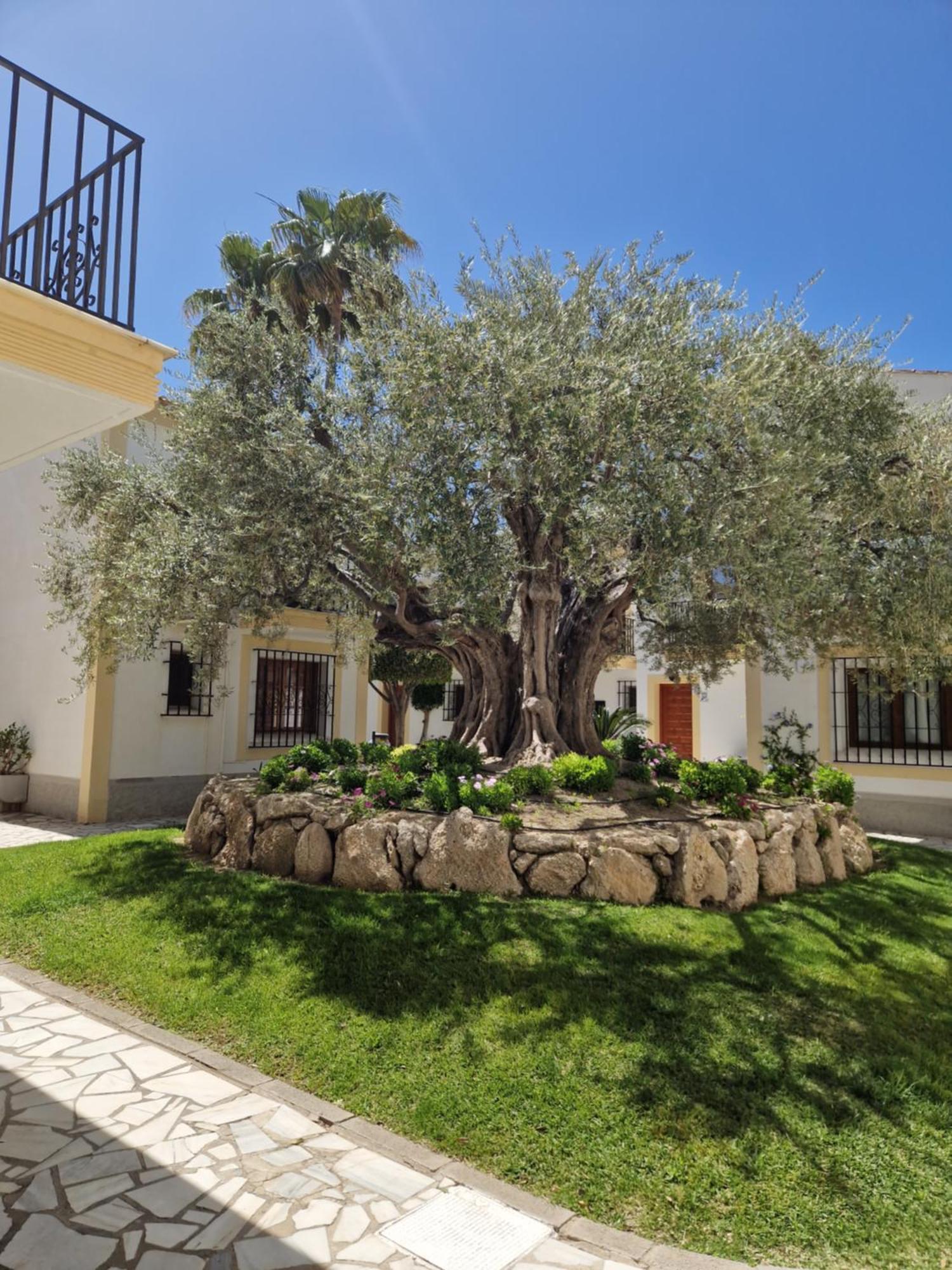 Playas de Vera Apartamento Esquina Verde En Vera Coast מראה חיצוני תמונה