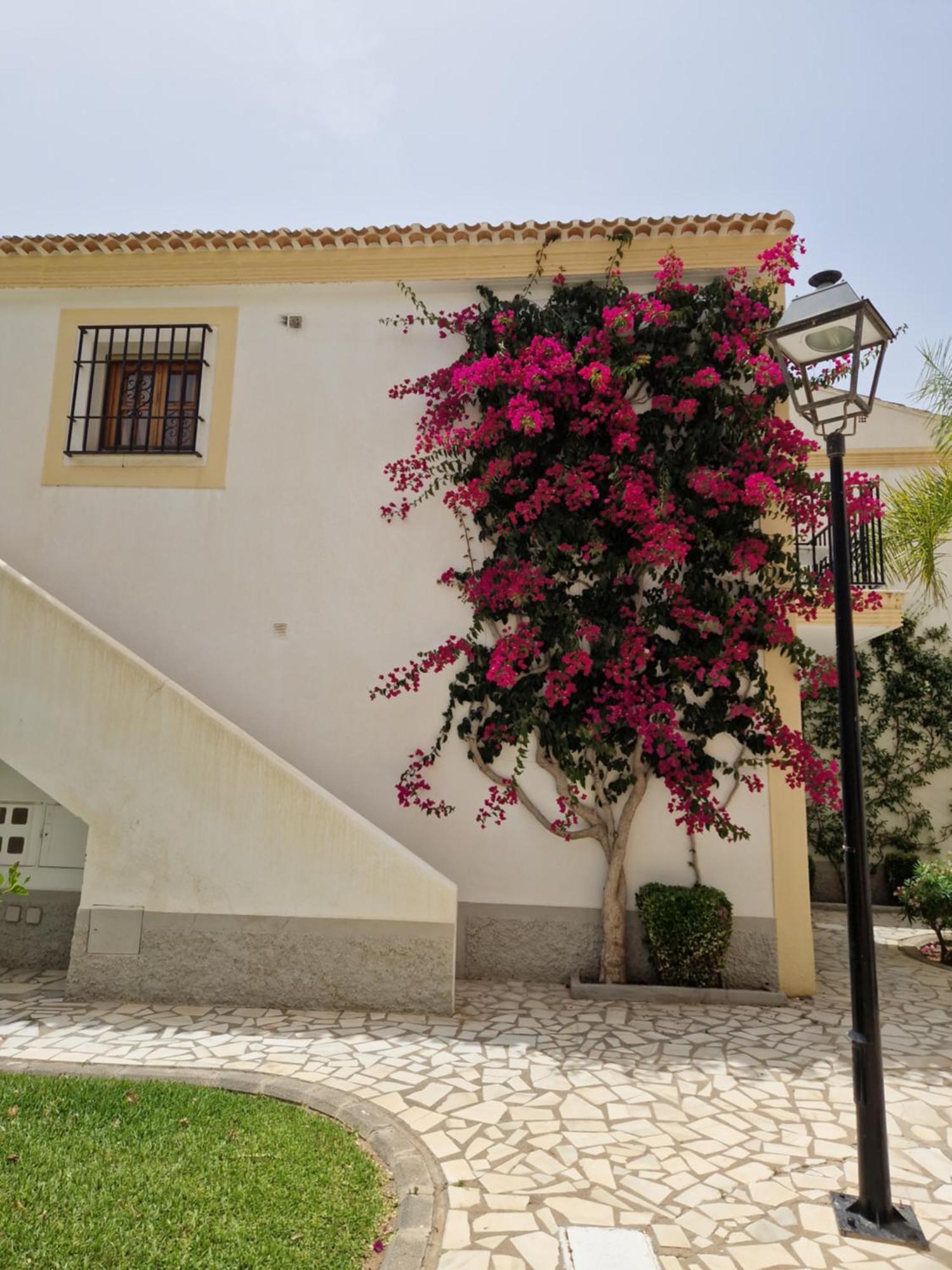 Playas de Vera Apartamento Esquina Verde En Vera Coast מראה חיצוני תמונה